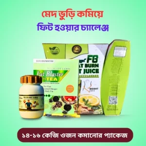 প্যাকেজ - ০৩